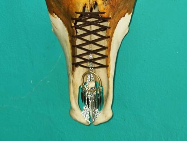 Decorated skulls