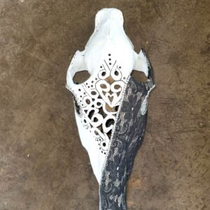 Decorated zebra skull