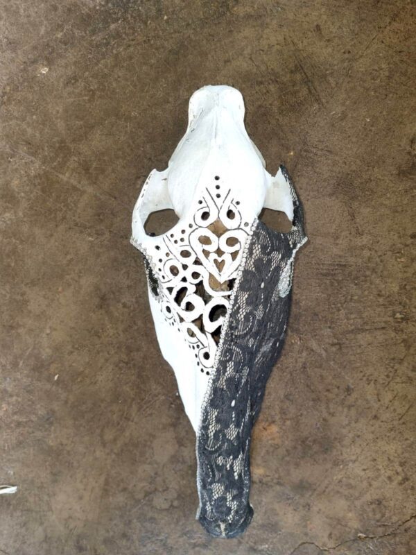 Decorated zebra skull